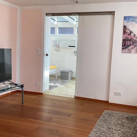 Fewo Luxus Wohnung Im Eigenen Ferienhaus, 120 Qm, Naehe Regensburg Mit Balkon, Terrasse & Garten, Gute Zuganbindung Laaber Luaran gambar