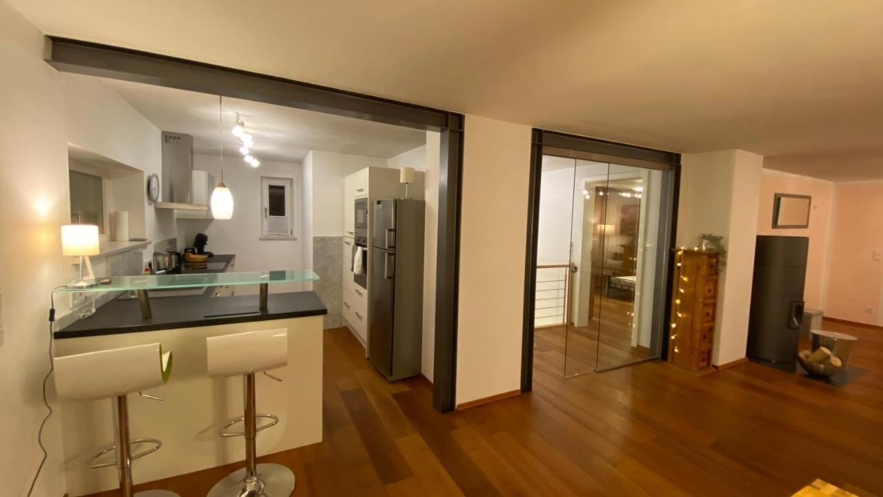 Fewo Luxus Wohnung Im Eigenen Ferienhaus, 120 Qm, Naehe Regensburg Mit Balkon, Terrasse & Garten, Gute Zuganbindung Laaber Luaran gambar