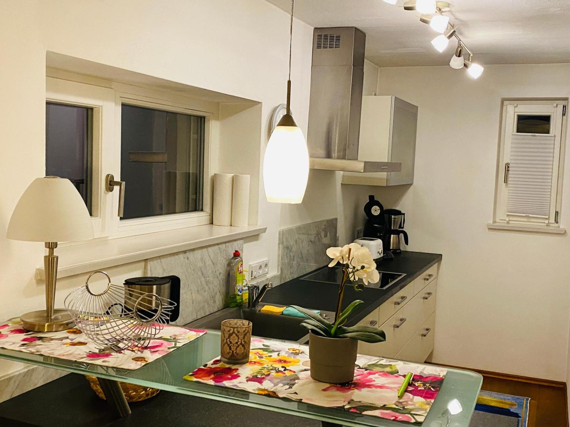 Fewo Luxus Wohnung Im Eigenen Ferienhaus, 120 Qm, Naehe Regensburg Mit Balkon, Terrasse & Garten, Gute Zuganbindung Laaber Luaran gambar